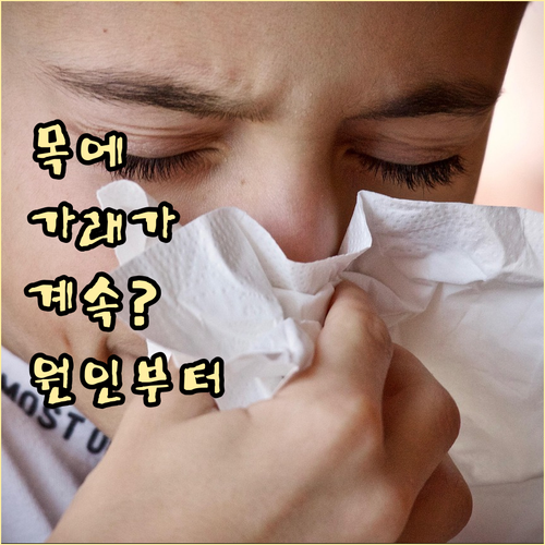 목에 가래가 계속? 원인부터 치료, 생활 습관까지