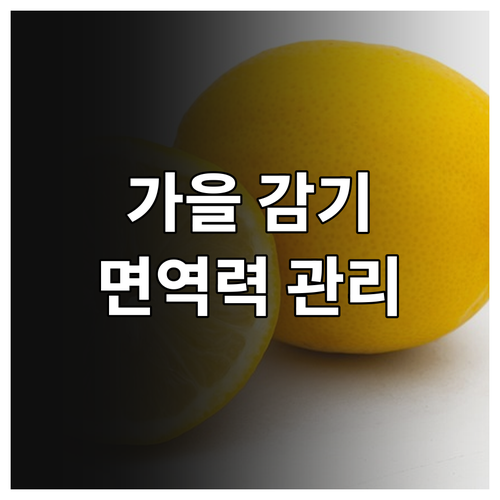 가을 감기 완벽 차단 방법 일교차, 건조함 이겨내는 면역력 관리법