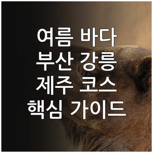 부산, 강릉, 제주: 여름 바다 여행 필수 코스 완벽 가이드