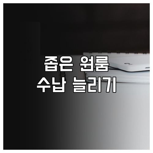 원룸 가구 배치 노하우 수납 공간 확보하는 방법
