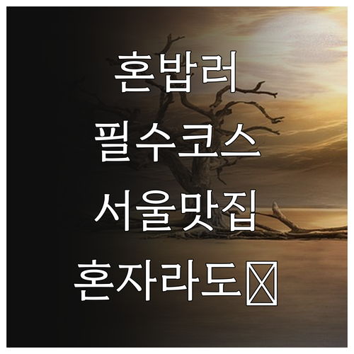 서울 혼밥 완전 해부: 혼자라도 꿀맛 보장! 나만의 맛집 리스트