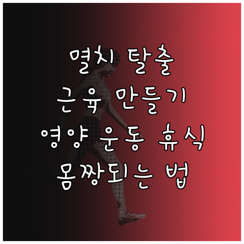 마른 몸 근육 키우기: 영양, 운동, 휴식의 완벽 조화