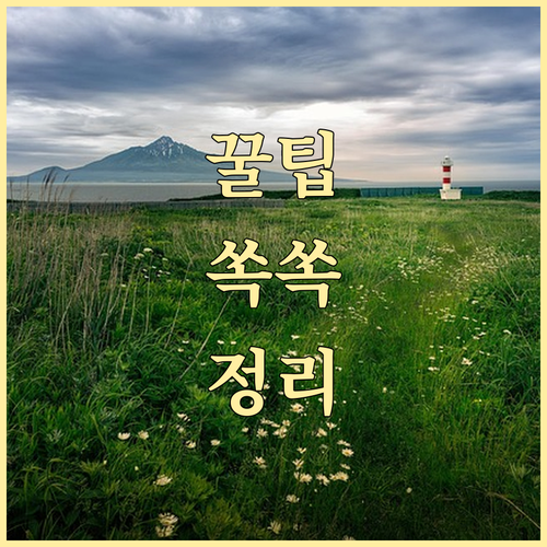 FSD가 테슬라를 자동차 회사 넘어 기술 기업으로 만든다