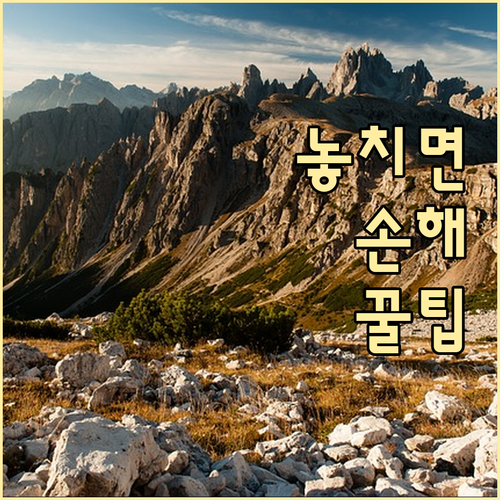 60대 이상 암보험, 이것만 알면 후회 없습니다