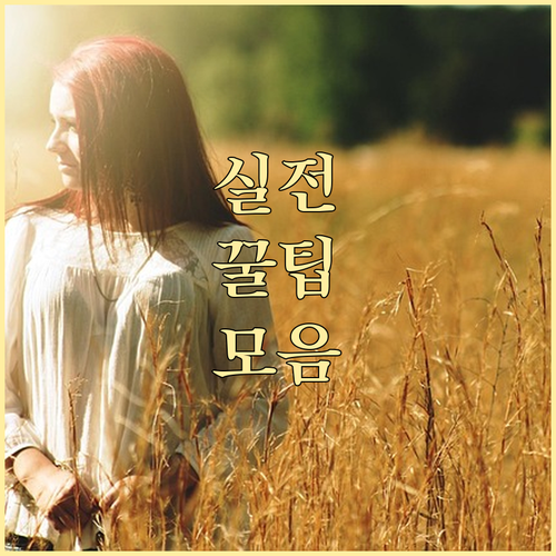 내 돈 돌려받자! 실손보험 청구 핵심 가이드