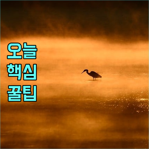 2025 국민체육센터 감면 혜택 대상별 요약 신청 방법