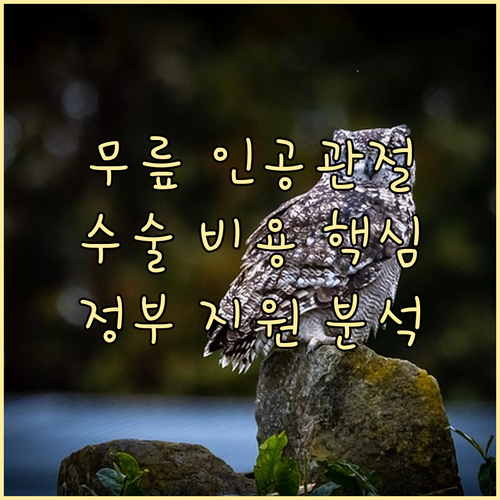 서울 무릎 인공관절 수술: 비용 핵심 요소와 정부 지원 완벽 분석