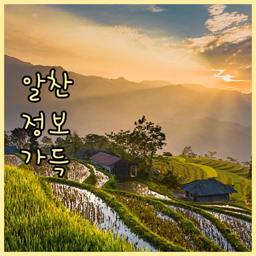 장기보험 해지환급금, 꼼꼼하게 따져보고 결정하세요!