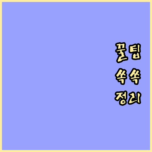 국가유공자 교통카드 완전 해부: 발급 조건, 신청 방법, 사용 꿀팁