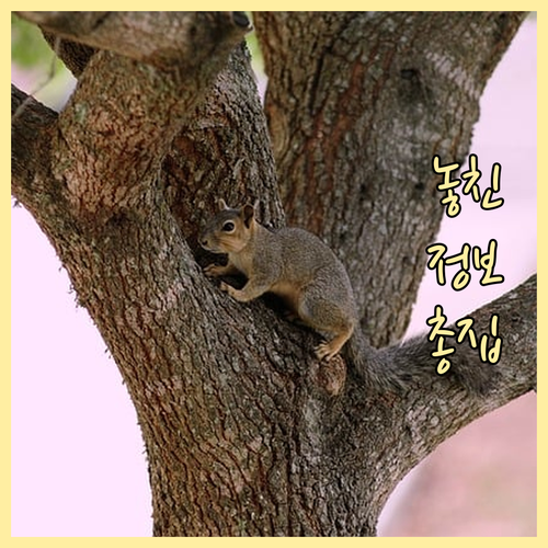 방문요양 서비스, 우리 부모님도 해당될까? 자격 조건 알아보기