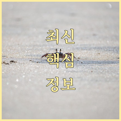 빚 탕감부터 경제 재기까지: 개인파산의 모든 것