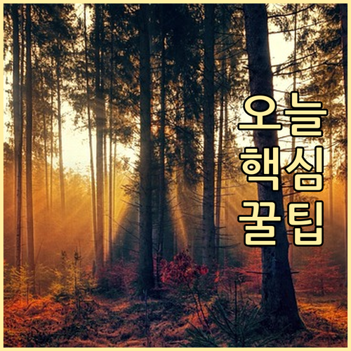 주거 걱정 이제 그만! 국가유공자 주택 지원 제도로 안정적인 삶을