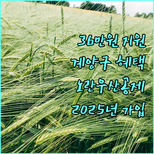 2025년 계양구 노란우산공제 가입하고 최대 36만원 지원받는 방법