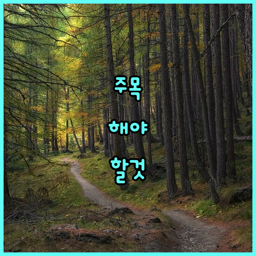 양주시 농가 지원 2025 밭작물 칼슘 비료 받는 법