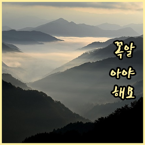 국가유공자 교육지원금: 혜택 받으려면? 자격 조건 및 신청 방법
