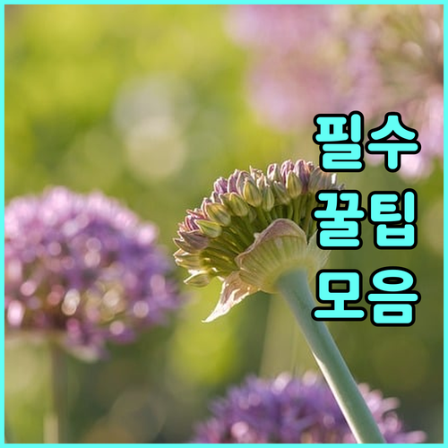 2025 광진구 저공해차 주차 50% 혜택 누가 받나요