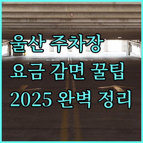 울산 공영주차장 요금 감면 A to Z (2025): 자격 조건, 필요 서류, 혜택