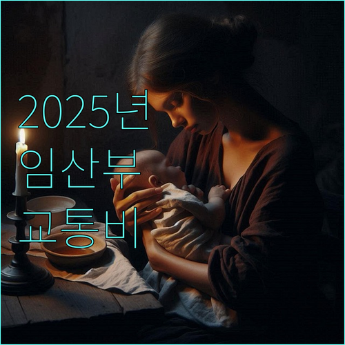 2025 경기도 임산부 교통비 지원: 신청 조건, 필요 서류, 지급 방식 완벽 가이드