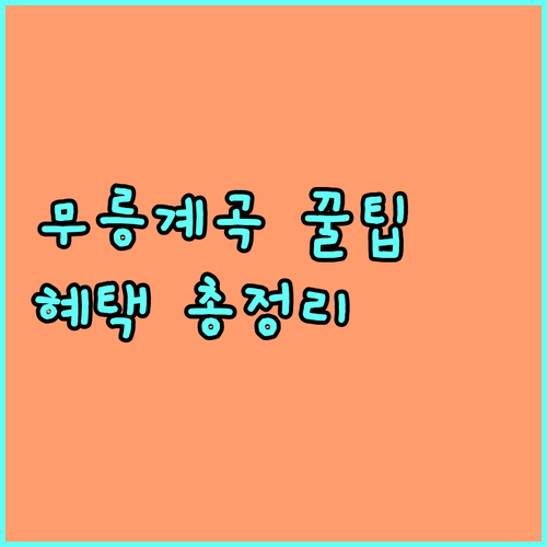 무릉계곡 2025년 감면 혜택 완벽 가이드 대상, 필요 서류, 신청 방법
