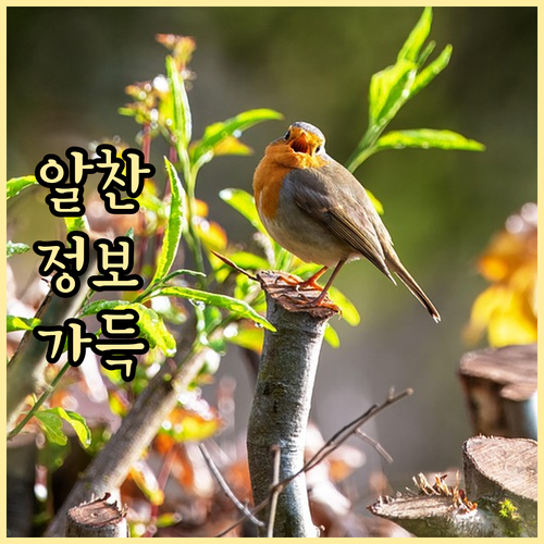 온라인 플랫폼으로 실리콘밸리 스타트업 투자 정복