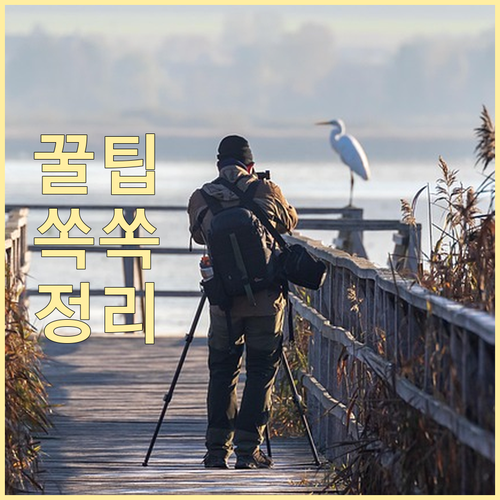 AI 칩 전쟁 엔비디아, 흔들림 없는 지배력 분석