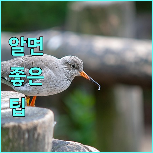 인천 도시철도 2025년 65세 이상 무임 혜택 신청 절차