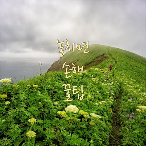 상속 분쟁 예방: 재산 분할의 모든 것