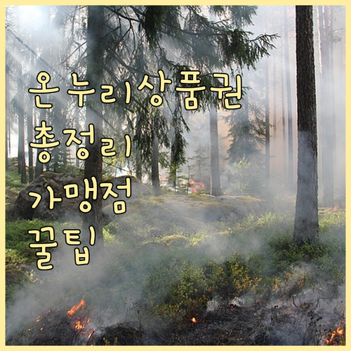 온누리상품권 사용법 A to Z: 가맹점 찾기, 구매 팁, 주의사항