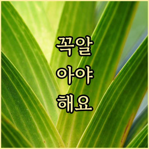 노인돌봄서비스, 더 이상 헤매지 마세요: 신청부터 이용까지 완벽 정리