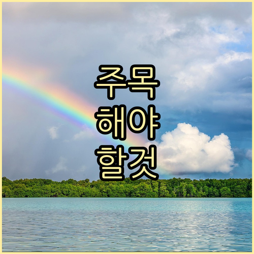 상조 서비스 비교, 장례 준비의 첫 단추