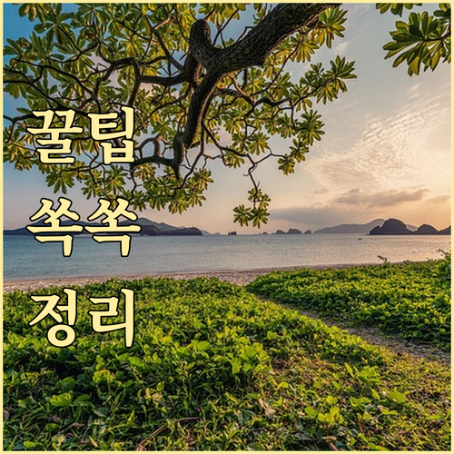 애플의 미래: 서비스 확장과 혁신 기술이 주가에 미칠 영향