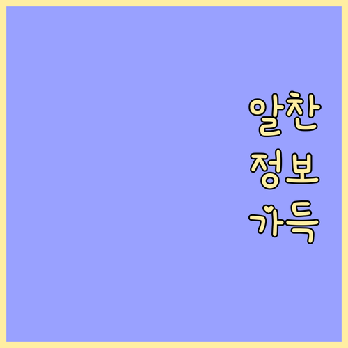 배당률의 함정 50대 안정적 배당주 고르는 핵심 기준