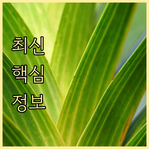 치매보험, 지금 가입해야 할까? 연령별 가입 특징과 주의사항