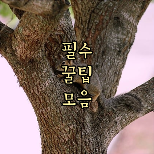 치매안심센터, 위치 확인하고 맞춤 서비스 받으세요