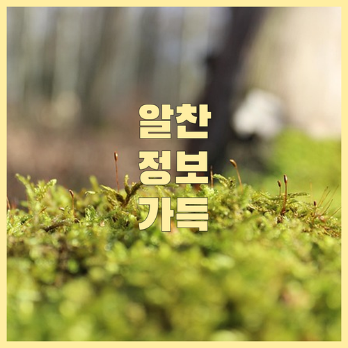 랜섬웨어 공격 대비: 백업과 보안으로 복구 비용 줄이기