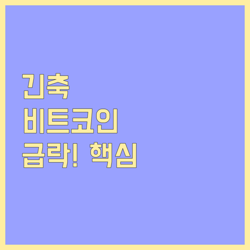 거시 경제 긴축과 신뢰 붕괴로 본 비트코인 급락의 구조적 배경