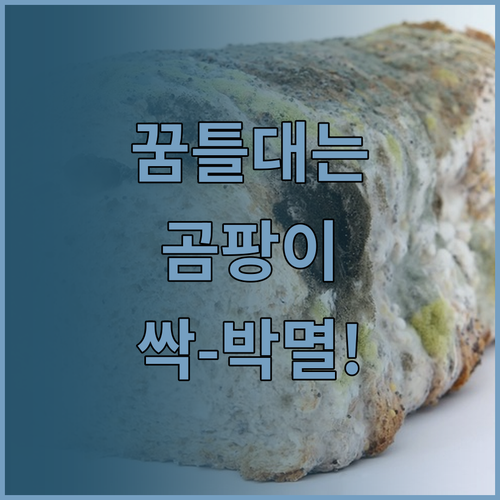 image e0f79e5d