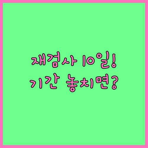 자동차검사 재검사 기간과 10일 이내 진행 절차