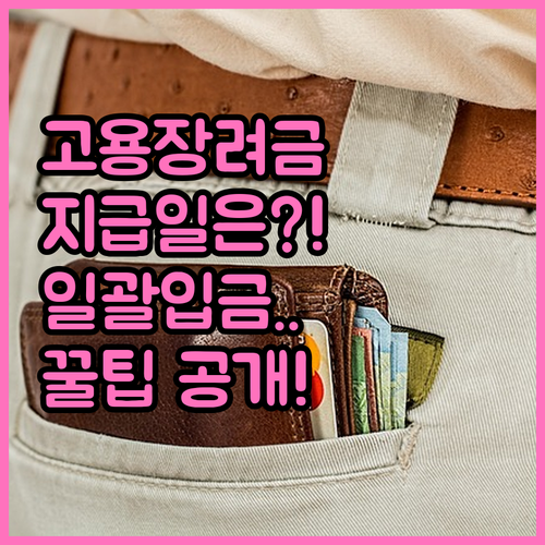 고용촉진장려금 지급일 결정 방식과 일괄 입금 시기